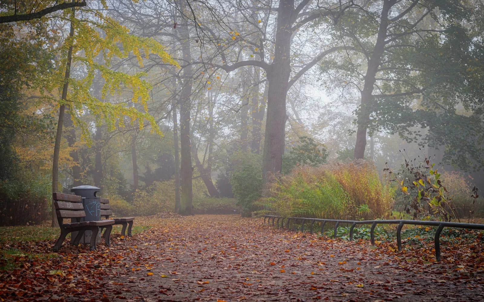 A park bench sitting in the middle of a forest
