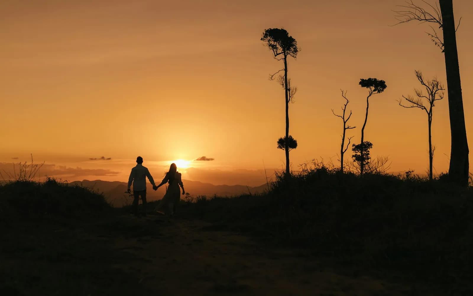 a man and a woman holding hands as the sun sets