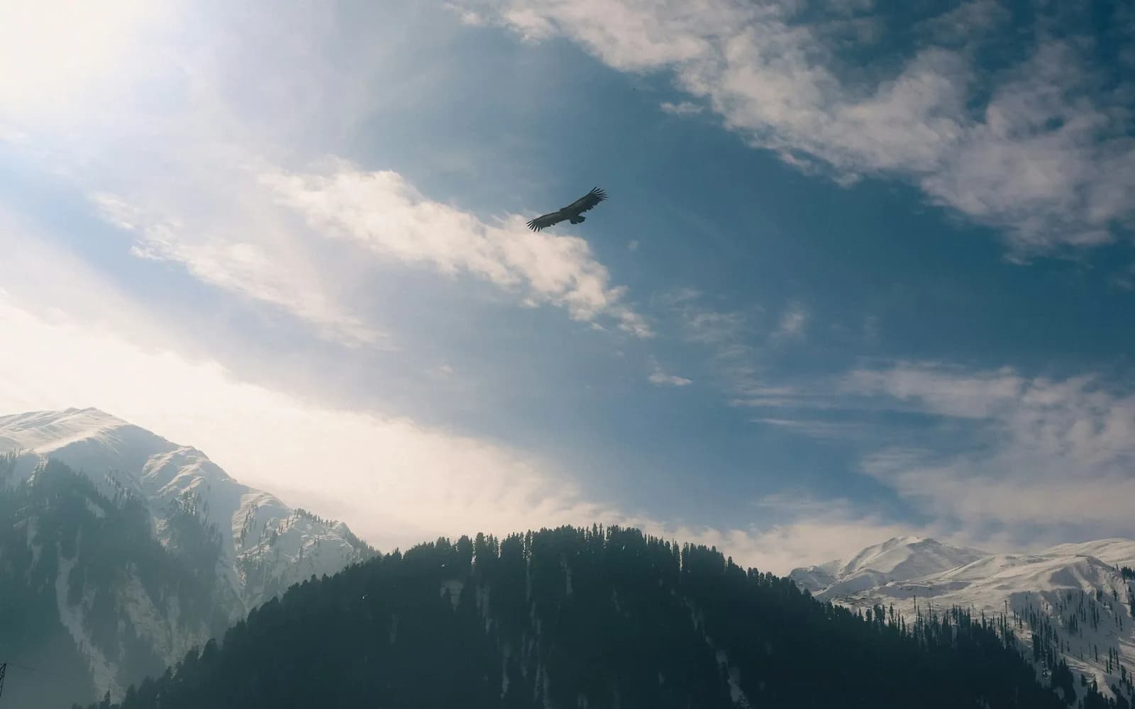 A bird flying in the sky over a mountain