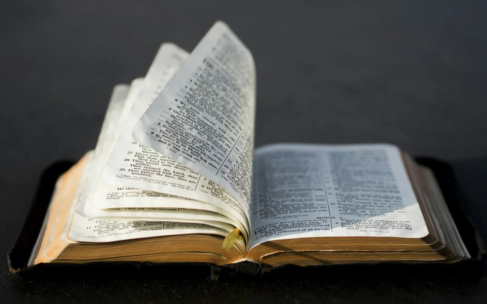 open book
