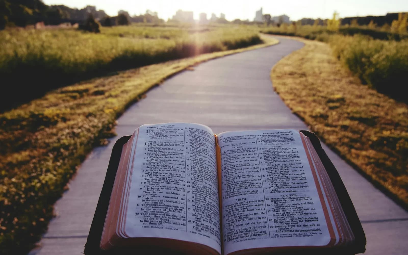 opened book on brown field during daytime